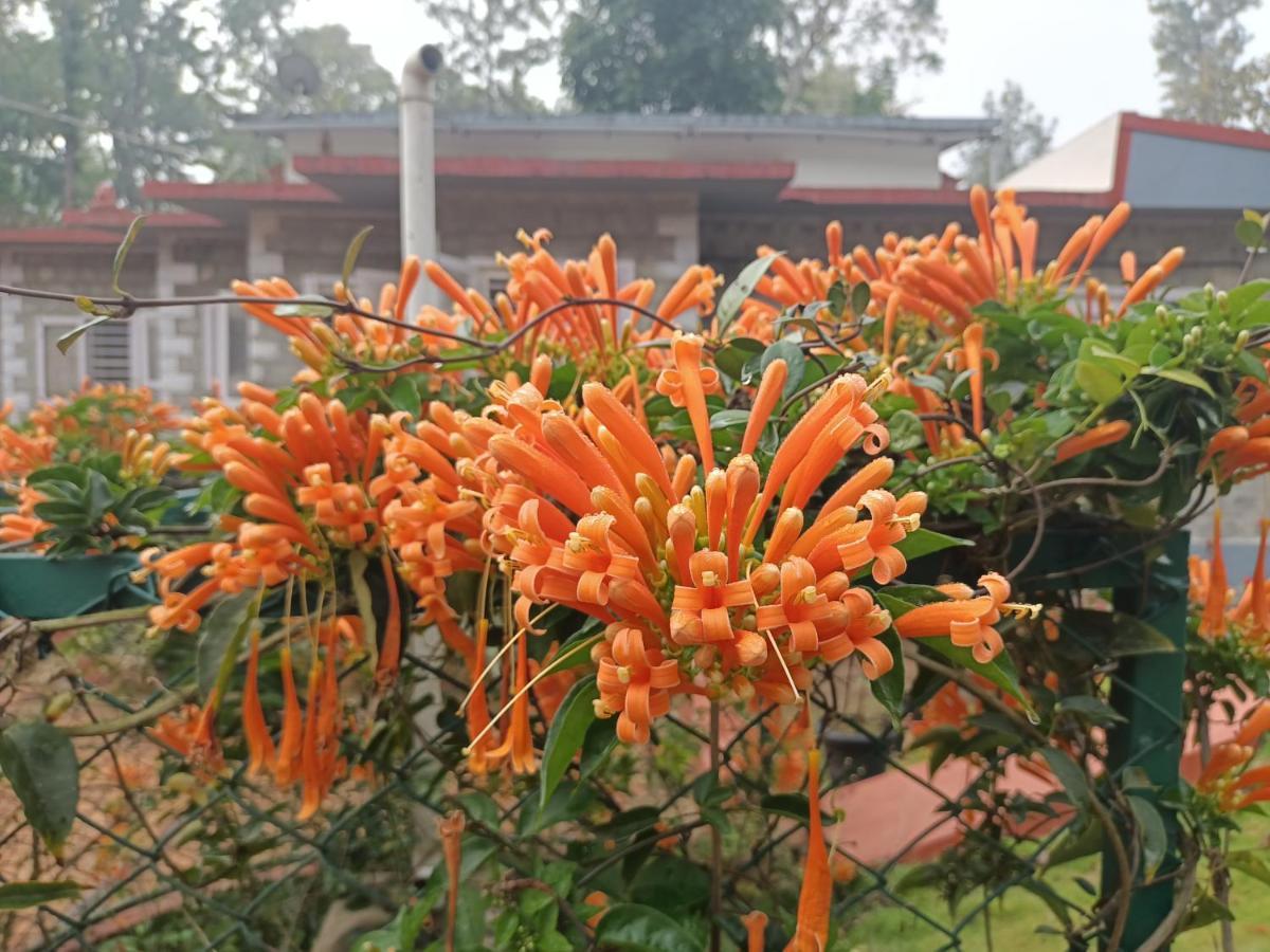 Coorg Kolamotte Hotell Gonikoppal Exteriör bild