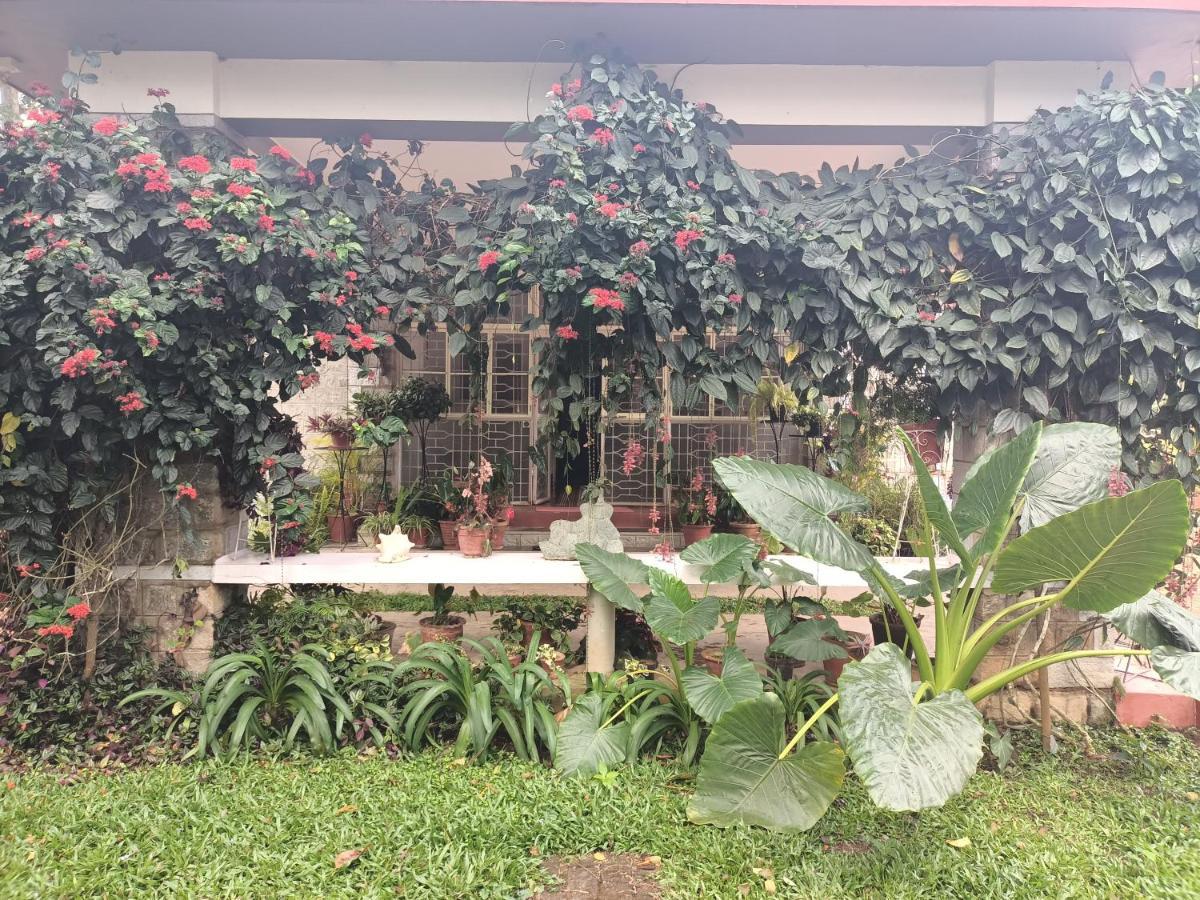 Coorg Kolamotte Hotell Gonikoppal Exteriör bild
