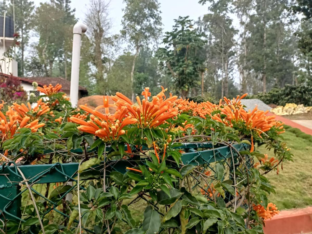 Coorg Kolamotte Hotell Gonikoppal Exteriör bild