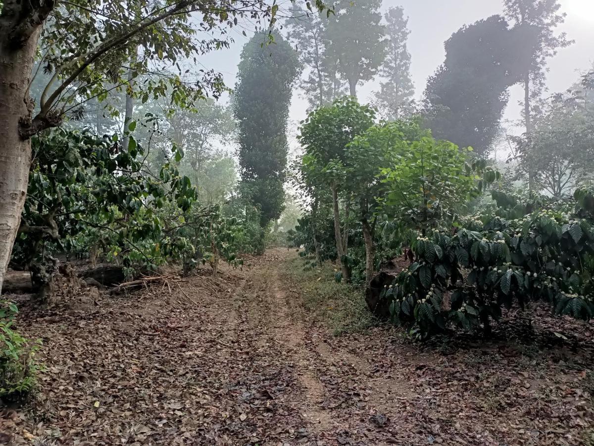 Coorg Kolamotte Hotell Gonikoppal Exteriör bild