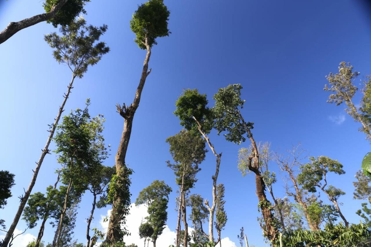 Coorg Kolamotte Hotell Gonikoppal Exteriör bild